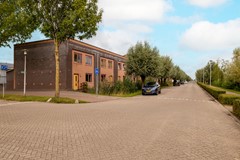 Vrouwenmantel 81  Schoonhoven 003.jpg